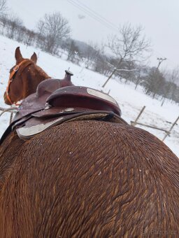 Westernové sedlo Zajac - 2