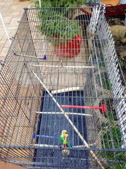 Klec pro papouška - 2