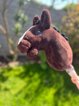 Hobby horse - 2