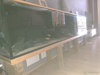 Akvarium 250xV50xŠ38cm - 2