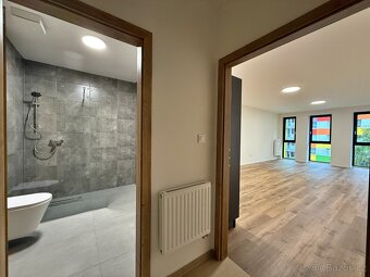 Pronájem bytové jednotky 1+kk 50m2 - 2