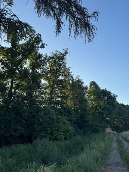 Prodám lesní pozemky v k.ú. Vlašim - 2