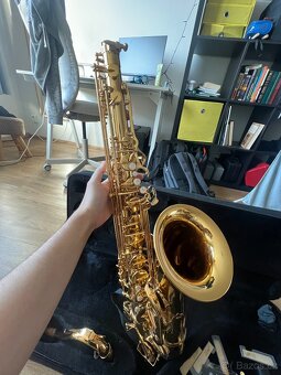 Roy Benson TS-202 Tenorový saxofon - 2