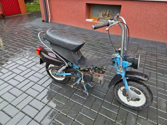 MOKIK Babetta - STELLA vzácná - 2