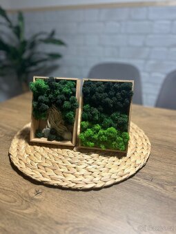 Mechové obrázky - 2