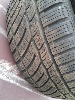 Zimni sada Tomket - 2