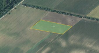 Sady, vinice, prodej, Bulhary, Břeclav - 2