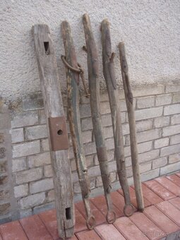 Žebřiňák - 2