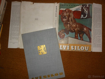 Sokol - kniha Lví silou - 2