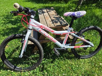 Lehké dětské kolo CORE NIPPER 20" - 2