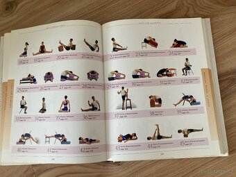 Iyengar yoga, joga - 2