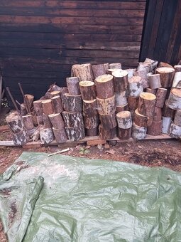 Prodám palivové dřevo - 2