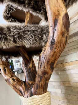 Stromy pro kočky - 2