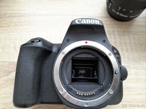 Canon EOS 200D + 18-55mm IS STM + EF 50mm f/1.8 STM - 2