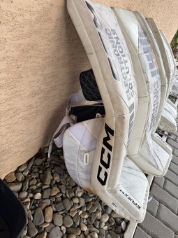 Betony CCM EFLEX 6.9 - 2