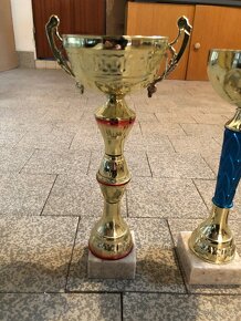Zlaté poháry. - 2