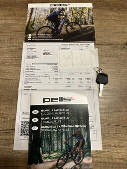 Elektrokolo Pells - 2