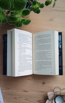 Plamen – Helen Hardt - NOVÁ - 2