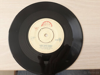 Marie Rottrová - Mámo, kup mi brášku / Skryj mě (1973) - 2