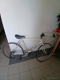 Bílé retro kolo značky Raleigh - 2