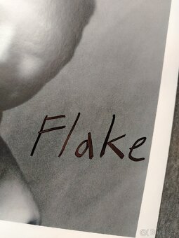 Flake lp (Rammstein) PODEPSANÉ - 2