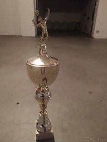 Poháry-vitezne trofeje - 2