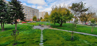 Pronájem krásného bytu 2+kk 44 m² Hradec Králové - 2