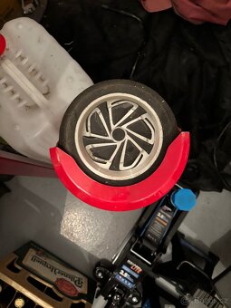 Prodám 3 sagweje - 2