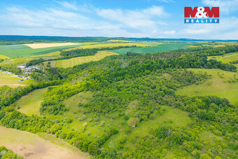 Prodej lesa, 2518 m², Chyňava - 2