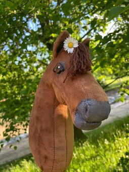 Hobby horse - 2