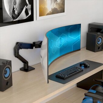 ERGOTRON HX Desk Monitor Arm (matte black) - 2