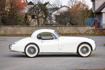 Jaguar XK120 Coupe - 2