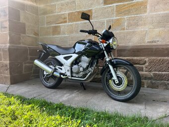 Honda CBF 250 - 2
