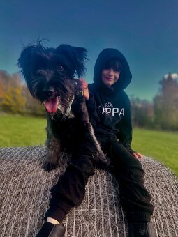 Daruji psa za pitel granuli - 2