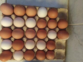 Prodej domácích vajíček - 2