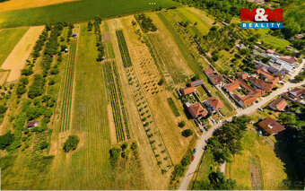 Prodej pozemku k bydlení, 7835 m², Borkovany - 2