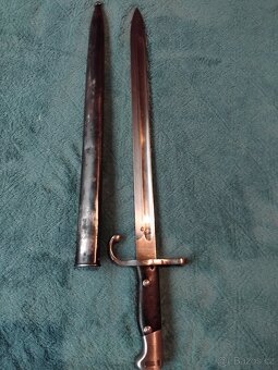 Argentinský bodák - 2