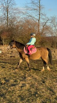 První pony pro děti - 2