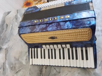 Harmonika Delicia - 2