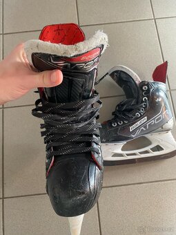 Bauer vapor 3.7x - 2