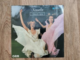 LP Kamelie 3ks - 2
