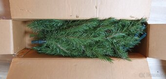 Vánoční stromek, stromeček - 2