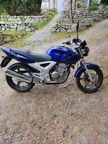 Honda CBF 250 - 2