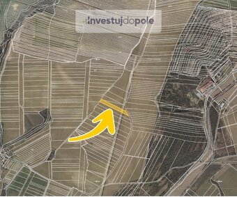 Prodej vinice v k.ú. Osvětimany - 2