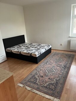 Pronájem bytu 1KK, 25 m2, Brno- Banskobystrická - 2