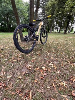 Ctm Dirt - 2