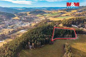 Prodej lesa, 51224 m², Malenice - 2
