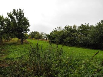 Prodej spol. pod. 2/3 RD, 2516 m2, Miroslavské Knínice - 2