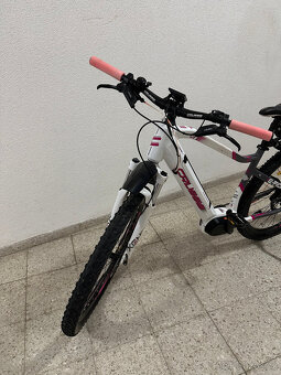 Elektrokolo Crussis - 2