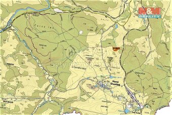 Prodej louky, 3918 m², Horní Dvořiště - 2